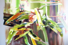 Oak Tree  [50" x 50" - Oil On Canvas]